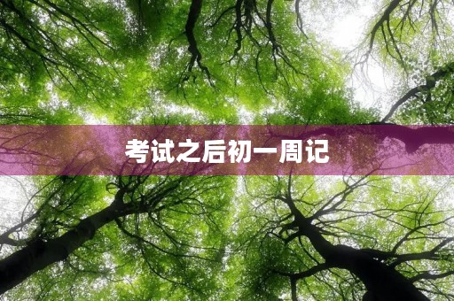考试之后初一周记