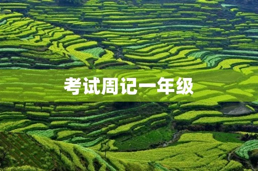 考试周记一年级