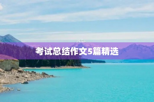 考试总结作文5篇精选