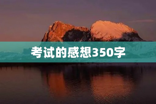 考试的感想350字