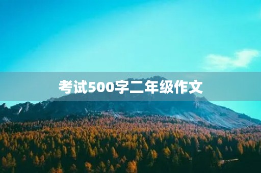 考试500字二年级作文