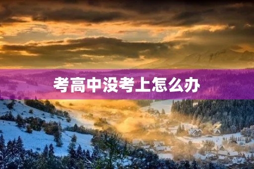 考高中没考上怎么办