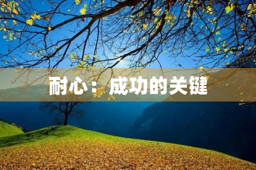 耐心：成功的关键