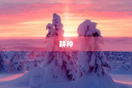 耕种 耕种