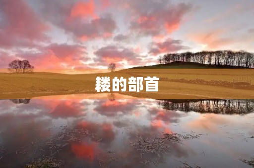 耧的部首(耧) 耧的部首(耧)