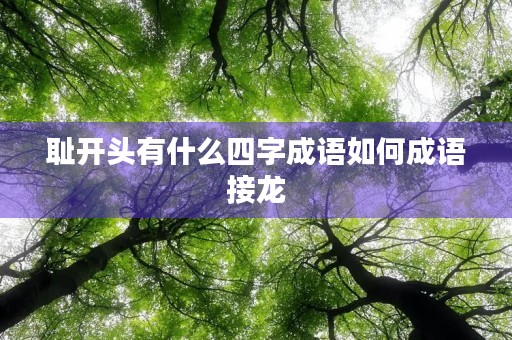 耻开头有什么四字成语如何成语接龙