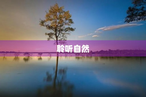 聆听自然,感悟生命 聆听自然,感悟生命