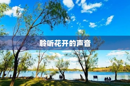 聆听花开的声音