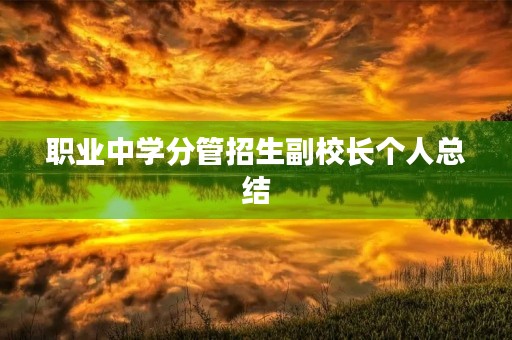 职业中学分管招生副校长个人总结 职业中学分管招生副校长个人总结