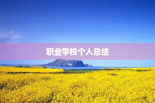 职业学校个人总结