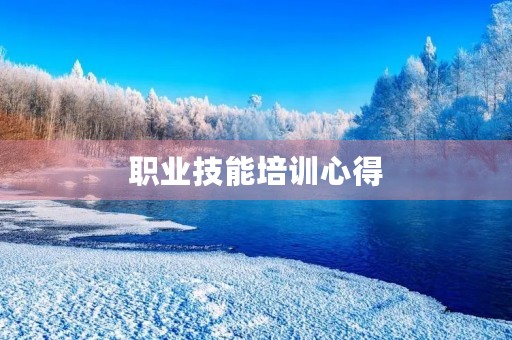 职业技能培训心得