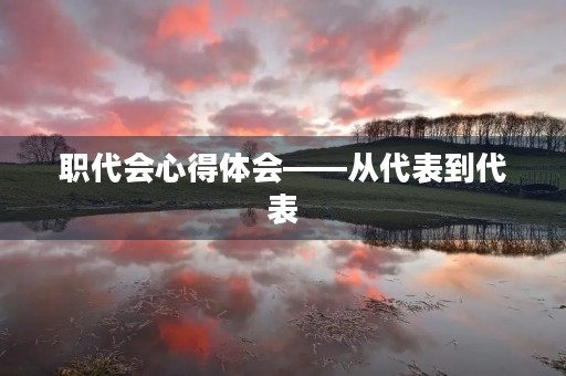 职代会心得体会——从代表到代表