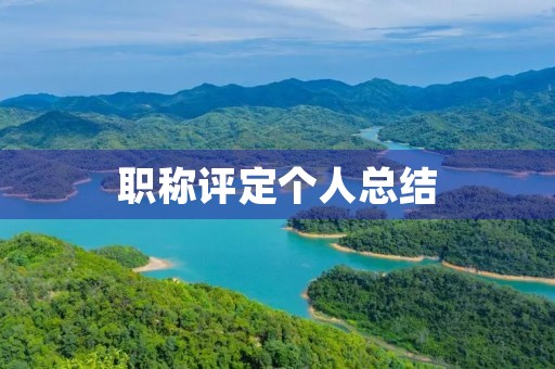 职称评定个人总结