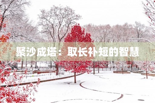 聚沙成塔:取长补短的智慧 聚沙成塔:取长补短的智慧