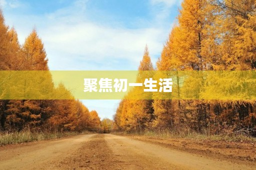 聚焦初一生活 聚焦初一生活