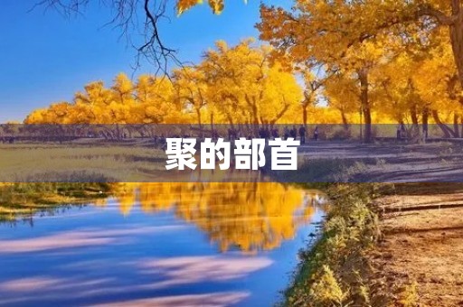 聚的部首(聚组词)