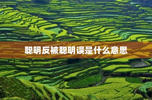 聪明反被聪明误是什么意思