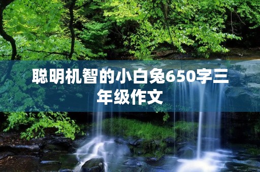 聪明机智的小白兔650字三年级作文