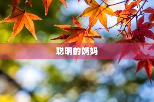 聪明的妈妈