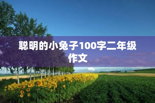 聪明的小兔子100字二年级作文 聪明的小兔子100字二年级作文