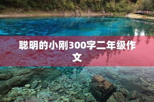 聪明的小刚300字二年级作文