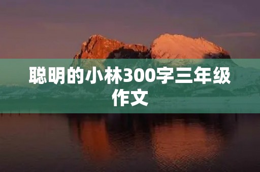 聪明的小林300字三年级作文