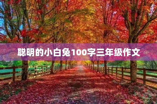 聪明的小白兔100字三年级作文 聪明的小白兔100字三年级作文