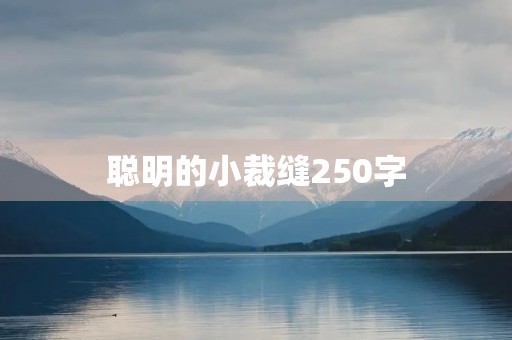 聪明的小裁缝250字