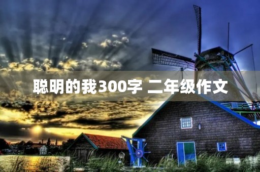 聪明的我300字 二年级作文 聪明的我300字 二年级作文