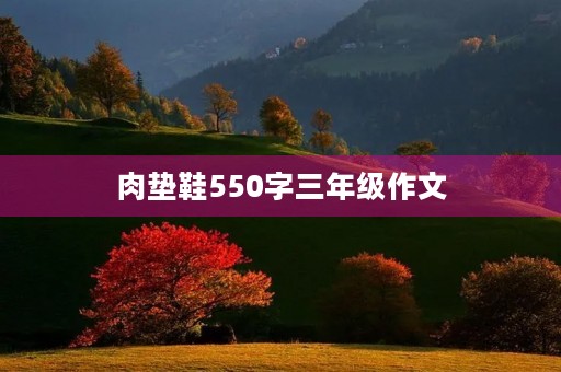 肉垫鞋550字三年级作文