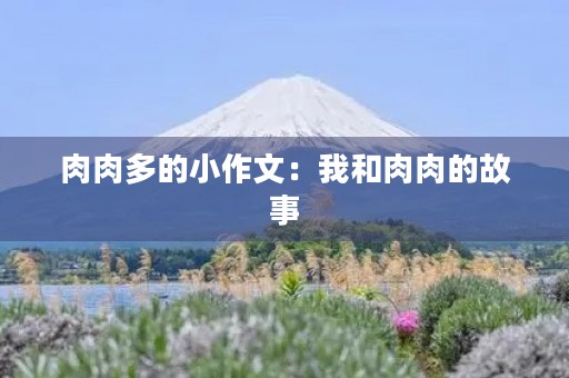 肉肉多的小作文：我和肉肉的故事