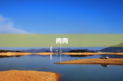肉肉，爱与健康的平衡