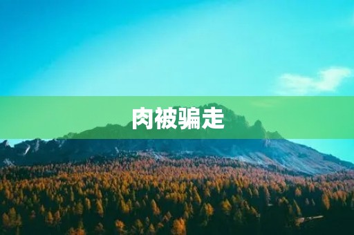 肉被骗走,我该怎么办? 肉被骗走,我该怎么办?