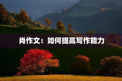 肖作文：如何提高写作能力