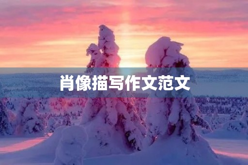 肖像描写作文范文
