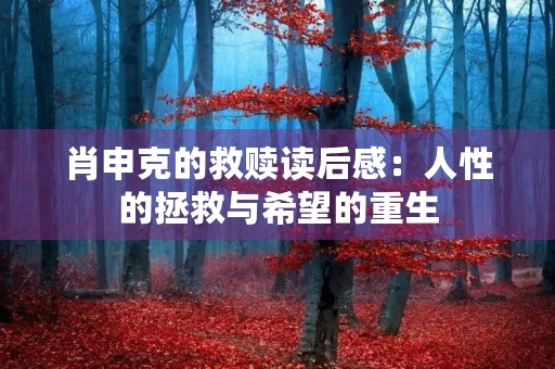 肖申克的救赎读后感：人性的拯救与希望的重生
