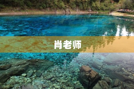肖老师，我想对您说350字三年级作文