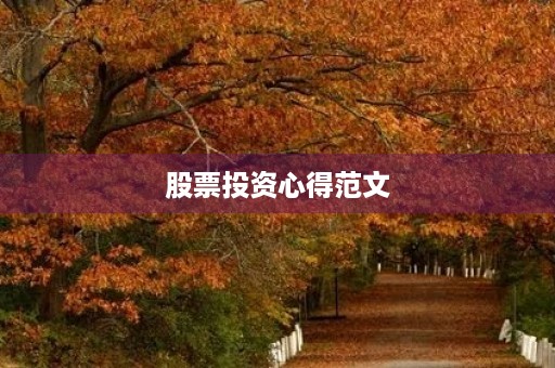 股票投资心得范文
