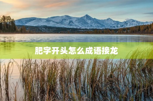 肥字开头怎么成语接龙