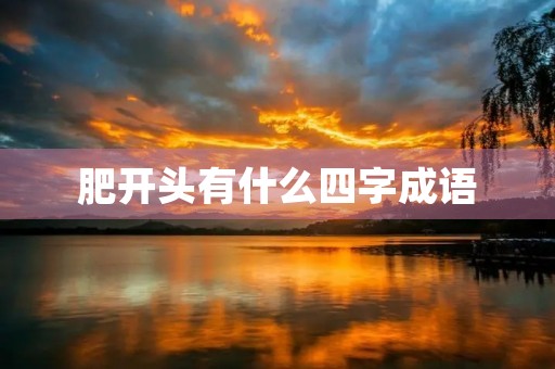 肥开头有什么四字成语