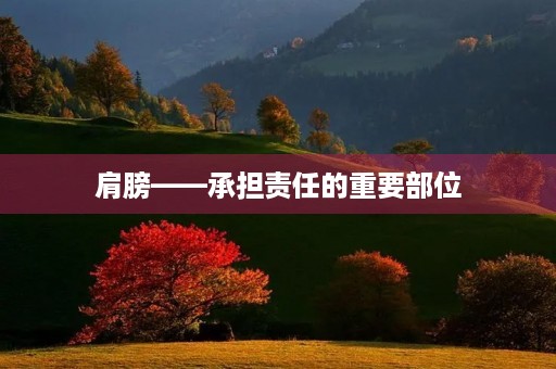 肩膀——承担责任的重要部位 肩膀——承担责任的重要部位