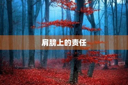 肩膀上的责任 肩膀上的责任