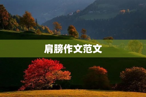 肩膀作文范文