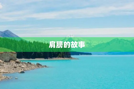 肩膀的故事 肩膀的故事