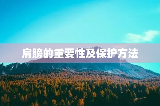肩膀的重要性及保护方法