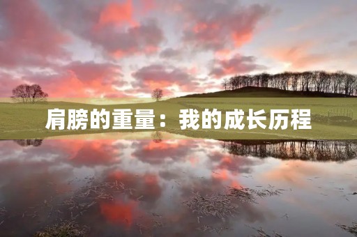 肩膀的重量：我的成长历程