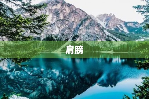 肩膀,承载着我们的梦想 肩膀,承载着我们的梦想