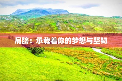 肩膀：承载着你的梦想与坚韧