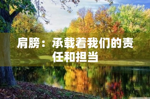 肩膀：承载着我们的责任和担当