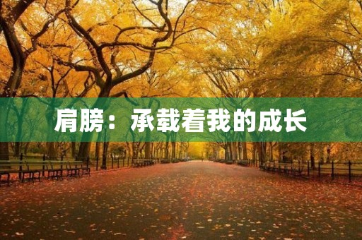 肩膀:承载着我的成长 肩膀:承载着我的成长